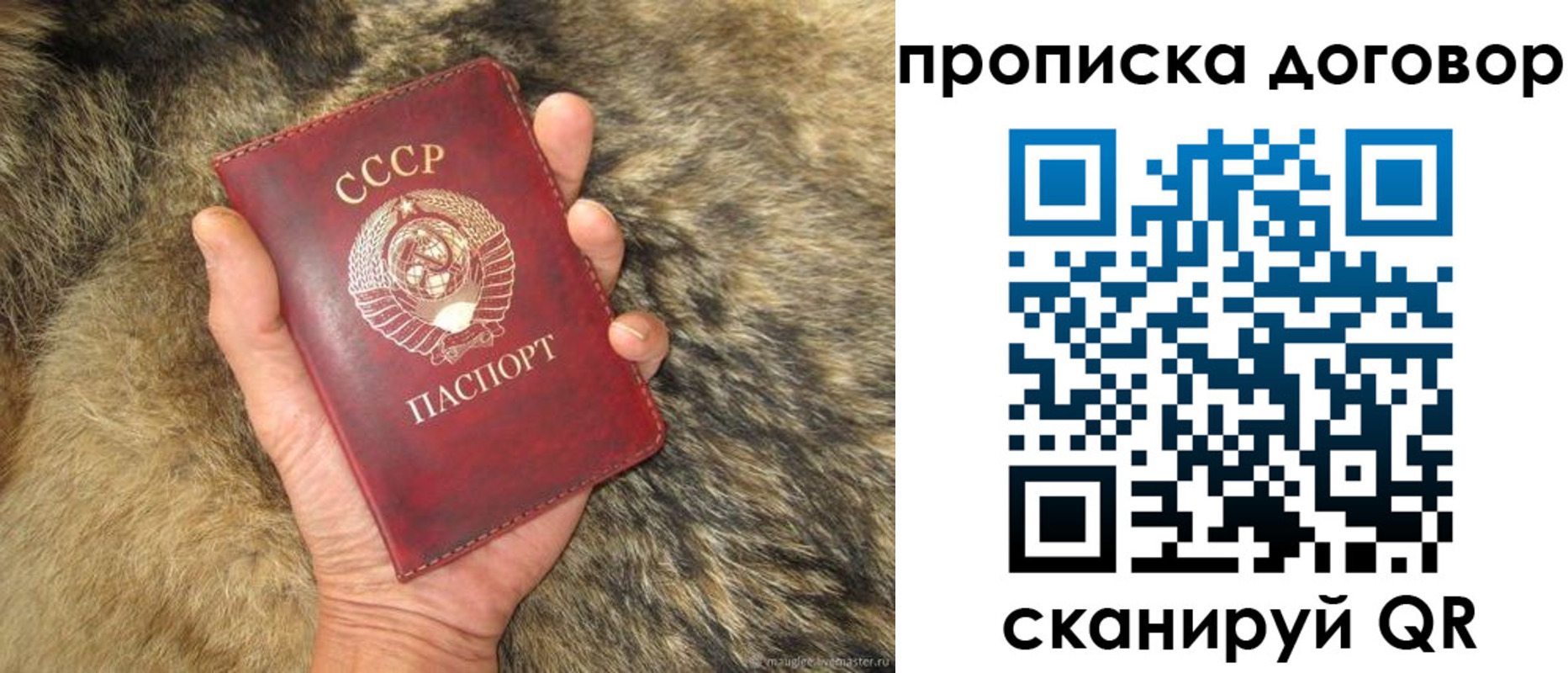 прописка регистрация в Калининградской области
